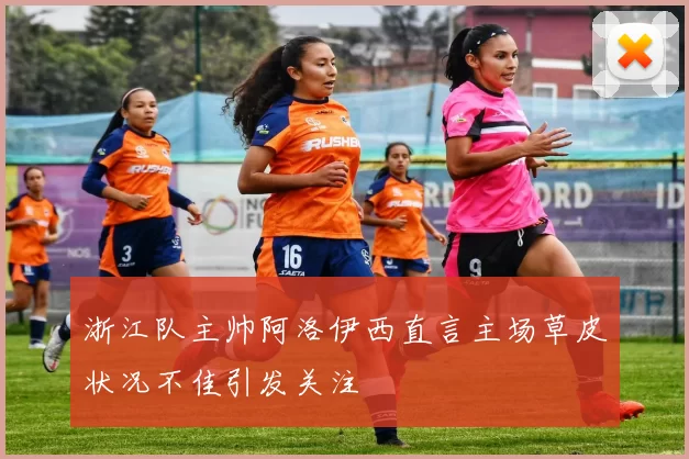 浙江队主帅阿洛伊西直言主场草皮状况不佳引发关注