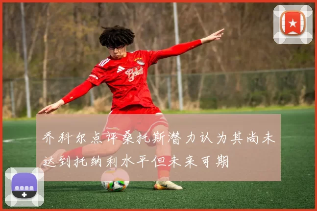 乔科尔点评桑托斯潜力认为其尚未达到托纳利水平但未来可期